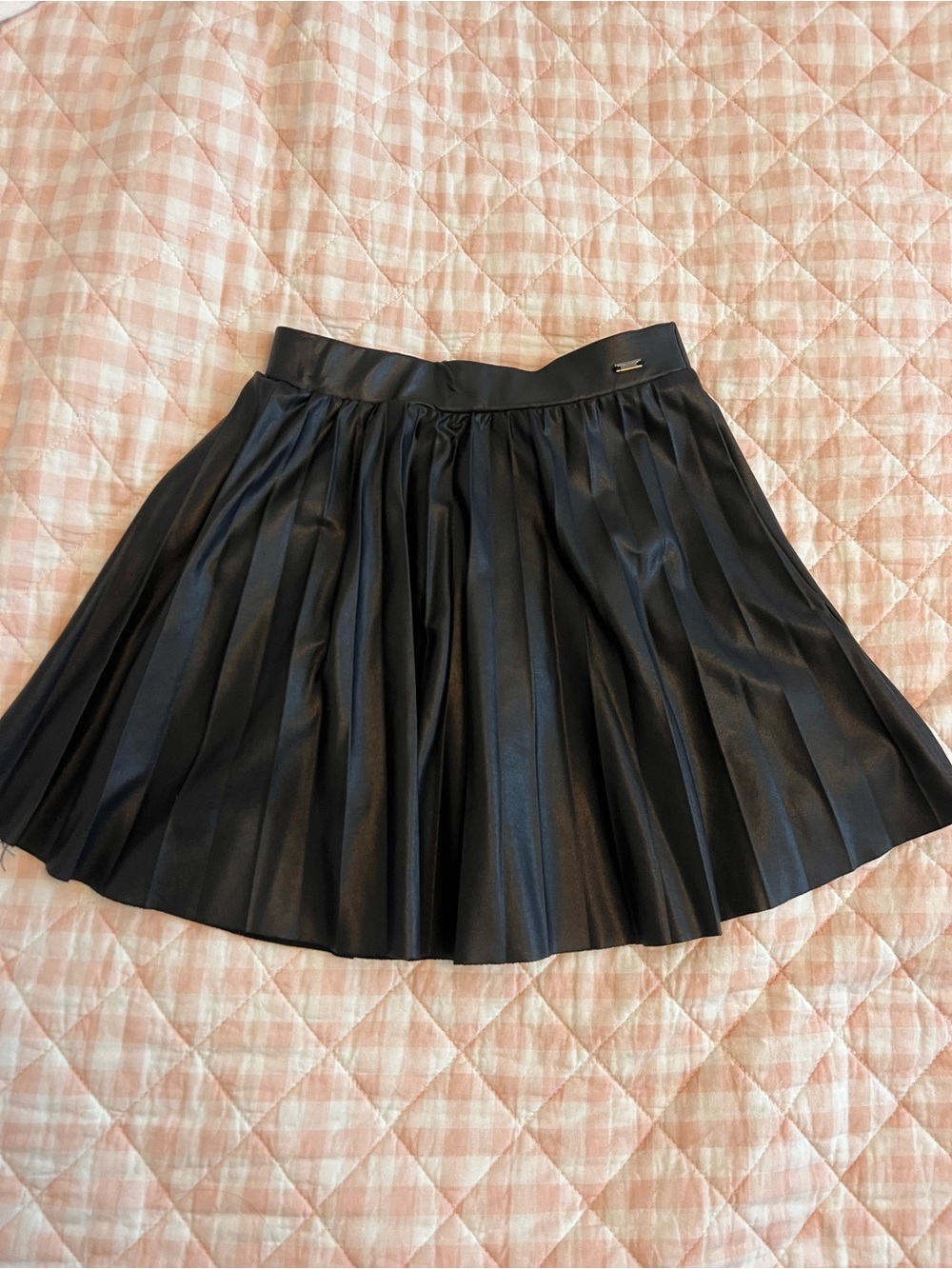 Zara Black Pleated Skater Skirt